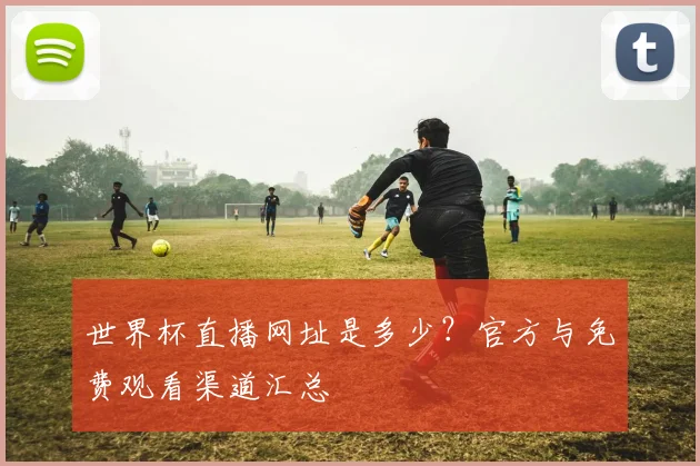 世界杯直播网址是多少？官方与免费观看渠道汇总
