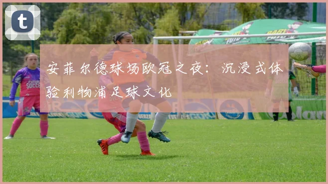 安菲尔德球场欧冠之夜：沉浸式体验利物浦足球文化