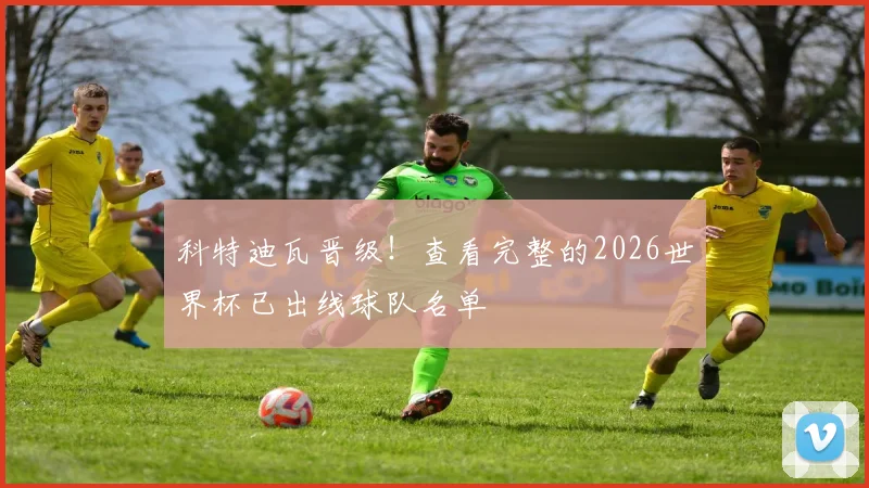 科特迪瓦晋级！查看完整的2026世界杯已出线球队名单