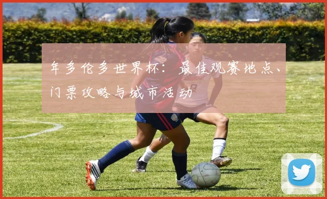 年多伦多世界杯：最佳观赛地点、门票攻略与城市活动