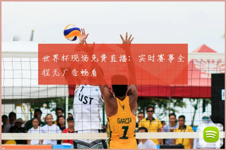 世界杯现场免费直播：实时赛事全程无广告畅看